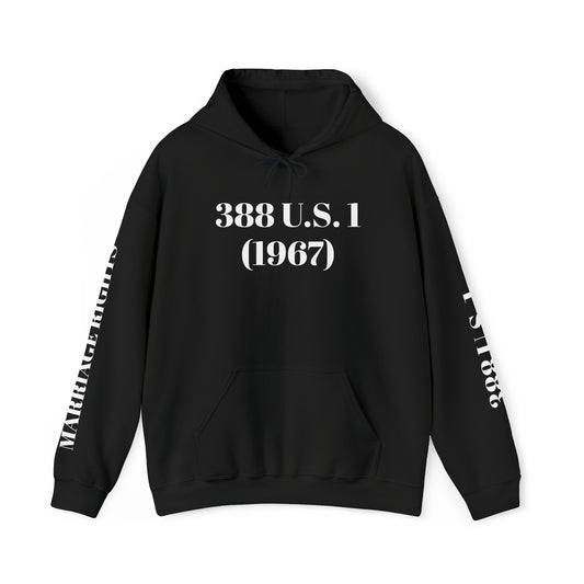 AFBNJ DESIGN 388 (LOVING V VA) Unisex Heavy Blend™ Hooded Sweatshirt